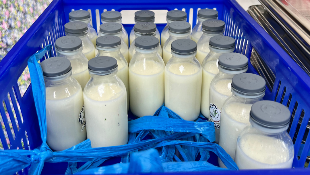 Penjelasan BGN Sumatera Barat Soal Manfaat Susu Sebagai Pelengkap Gizi Anak